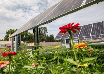 How Community Solar Can Benefit Low- and Moderate-Income Customers